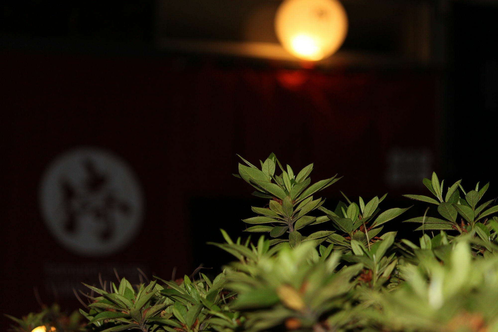 Samurai House Yukimura Токио Экстерьер фото